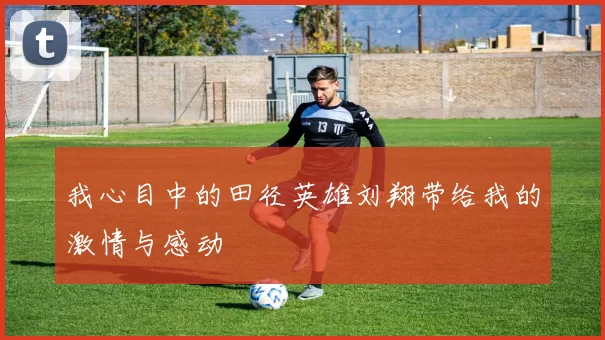 我心目中的田径英雄刘翔带给我的激情与感动