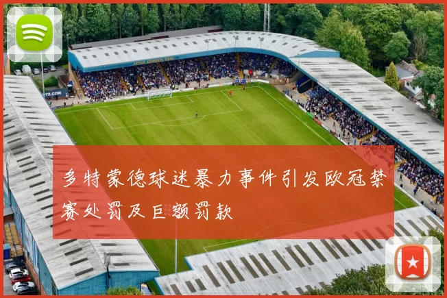 多特蒙德球迷暴力事件引发欧冠禁赛处罚及巨额罚款