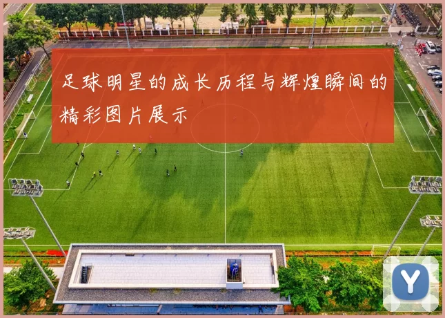 足球明星的成长历程与辉煌瞬间的精彩图片展示